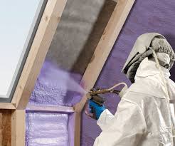 Best Crawl Space Insulation  in Minden, LA